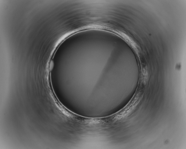 X0000098190862200804241243