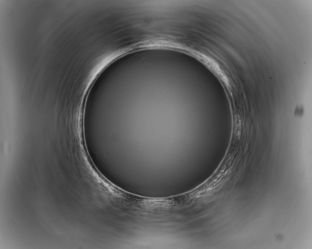 X0000098190863200804241243