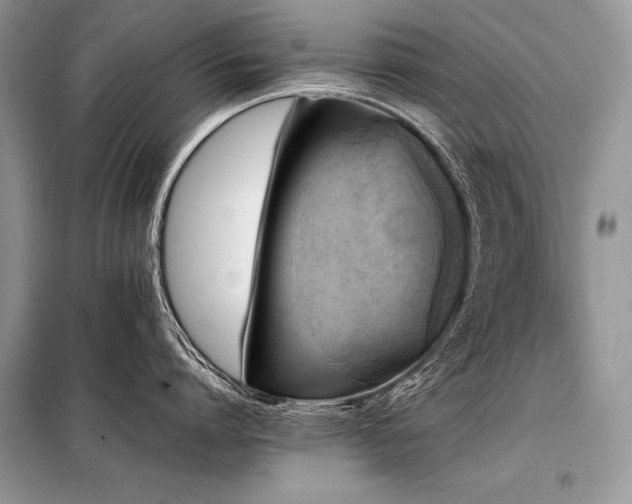 X0000098190864200804241243