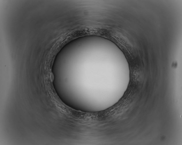 X0000098190865200804241242