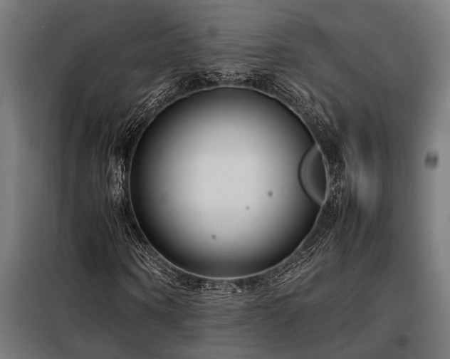 X0000098190866200804241242