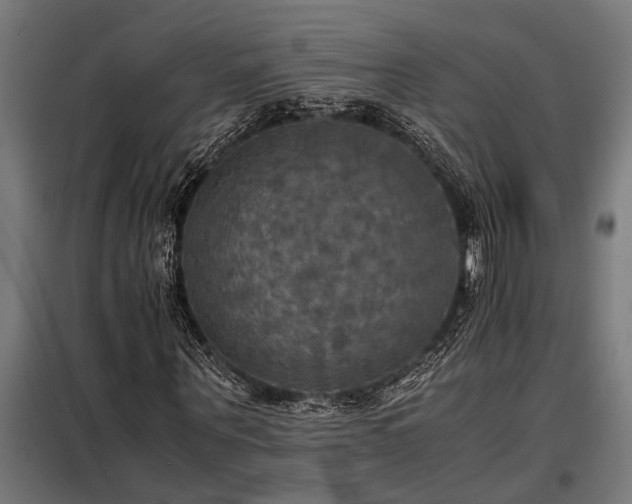 X0000098190867200804241242