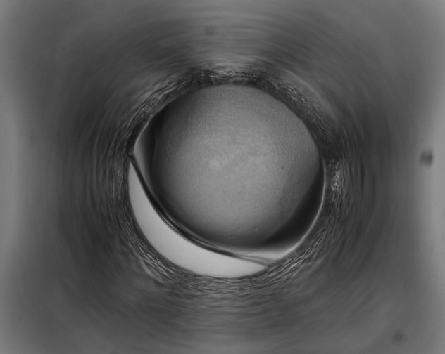 X0000098190868200804241242