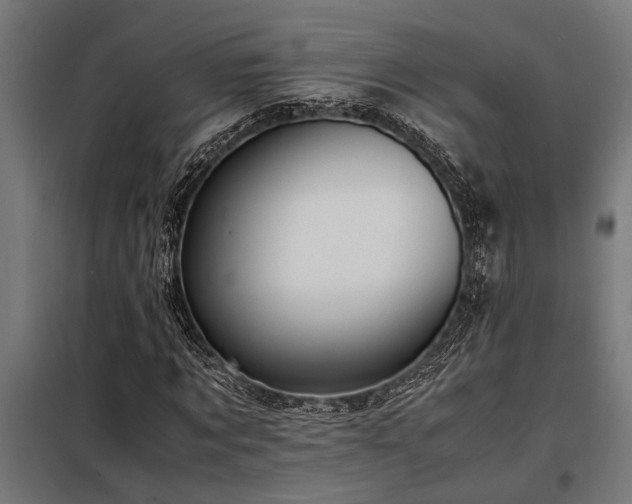 X0000098190869200804241242