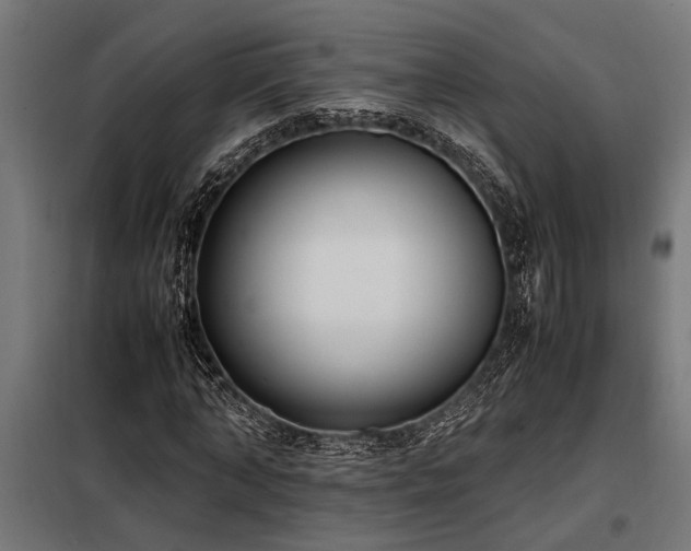 X0000098190870200804241242