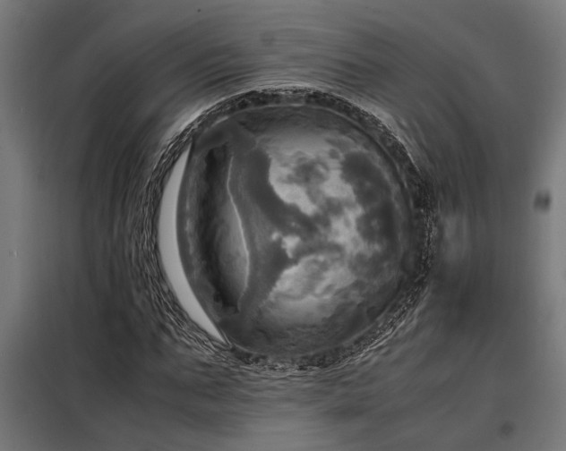 X0000098190871200804241242
