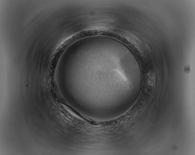 X0000098190872200804241242