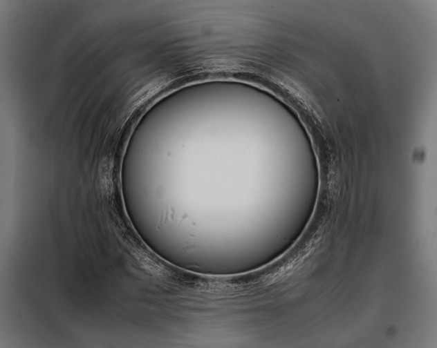 X0000098190873200804241242