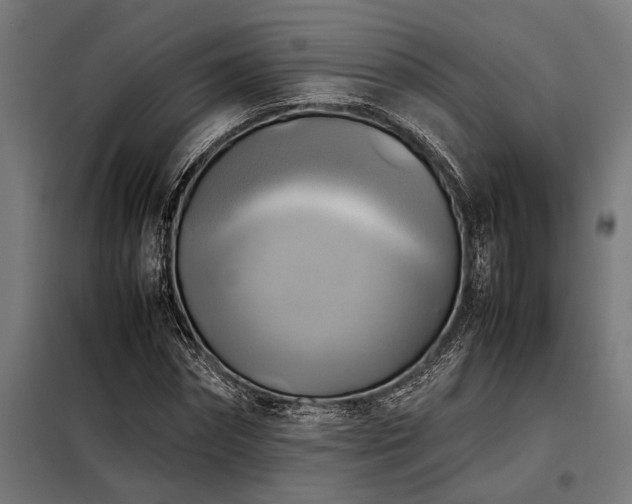 X0000098190874200804241242