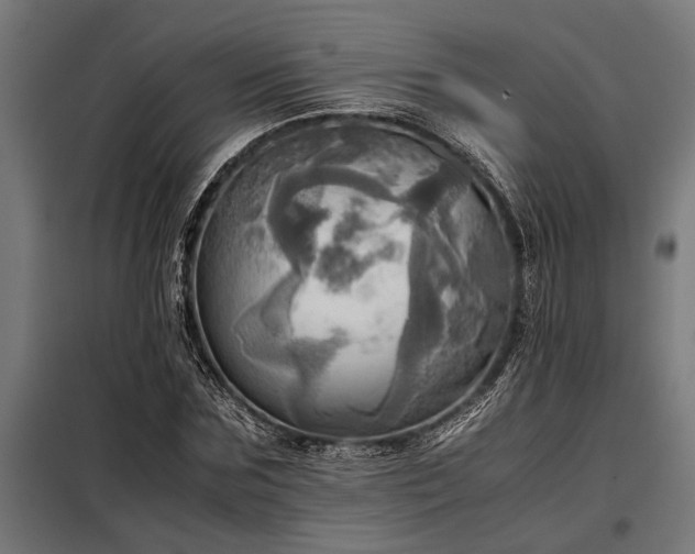 X0000098190875200804241242