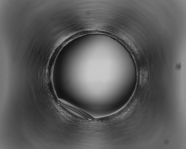 X0000098190876200804241242