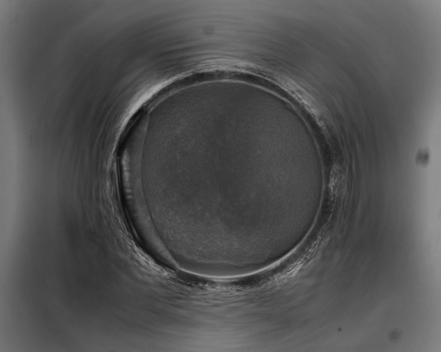X0000098190877200804241242