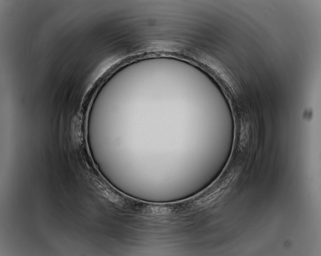 X0000098190878200804241242