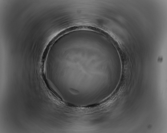 X0000098190879200804241242