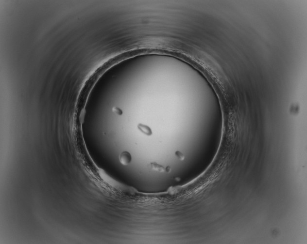 X0000098190880200804241242