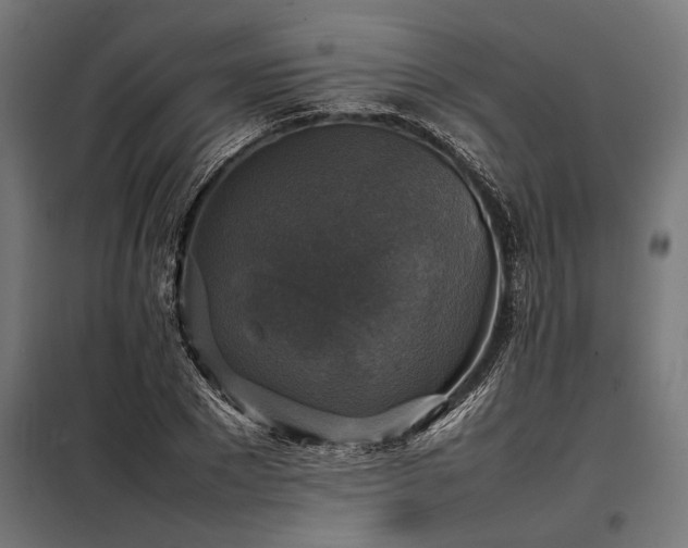 X0000098190881200804241242