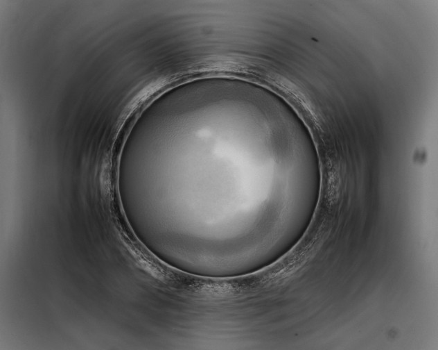 X0000098190882200804241242
