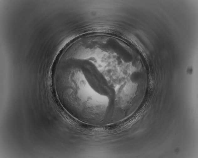 X0000098190883200804241242