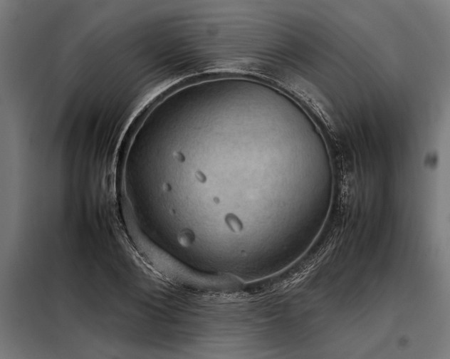 X0000098190884200804241242