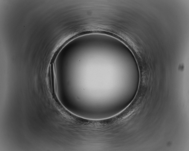 X0000098190885200804241242