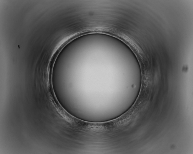 X0000098190886200804241242