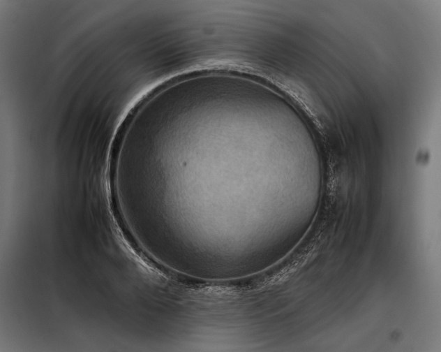 X0000098190888200804241242