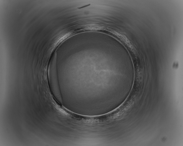 X0000098190889200804241242