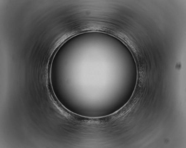 X0000098190890200804241242