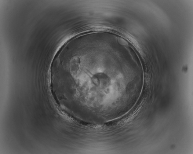 X0000098190891200804241242