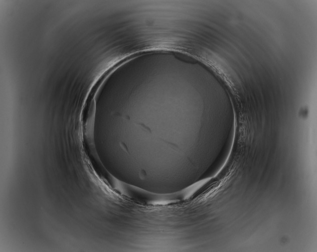X0000098190892200804241242