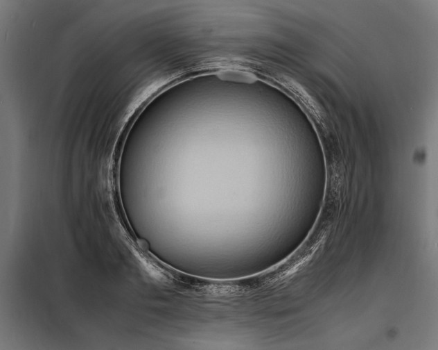 X0000098190893200804241242