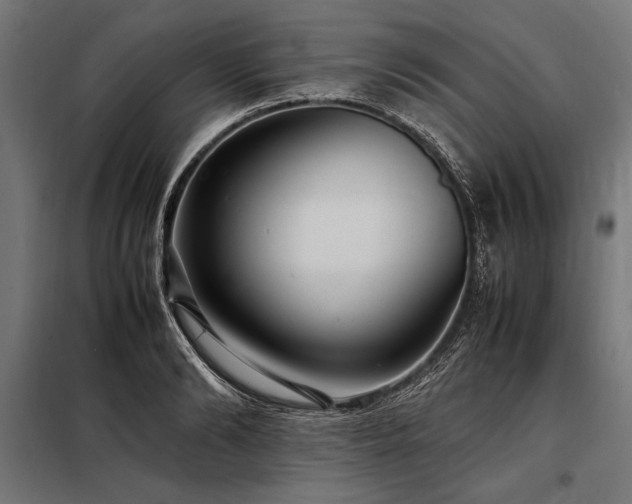 X0000098190894200804241242