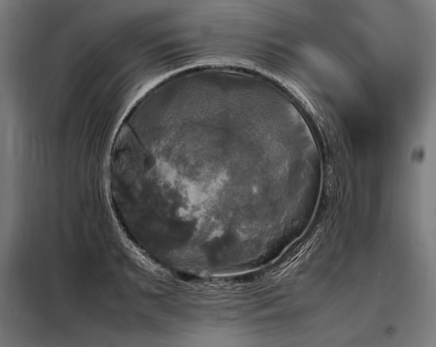 X0000098190895200804241242