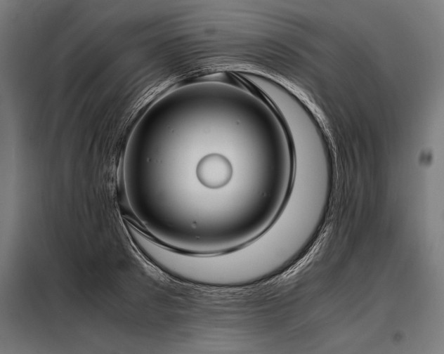 X0000098190897200804241242