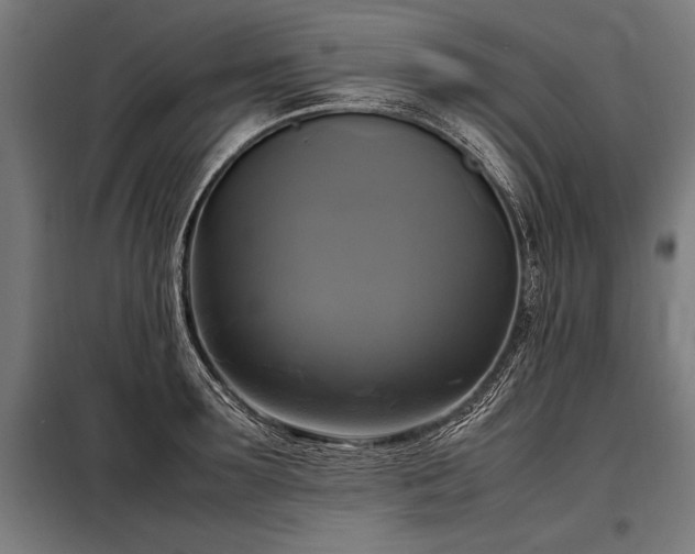X0000098190899200804241242