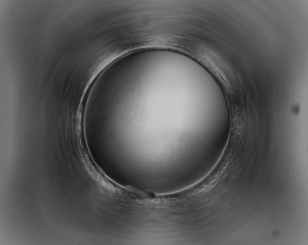 X0000098190900200804241242