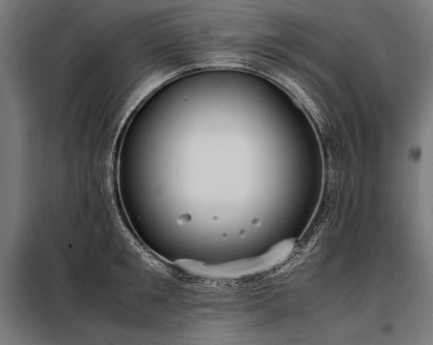 X0000098190901200804241242