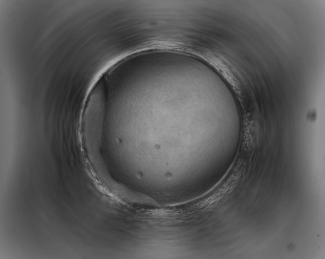 X0000098190904200804241242