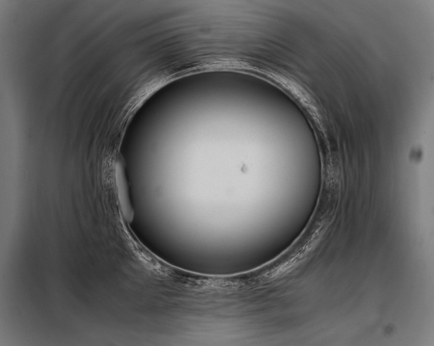 X0000098190905200804241242