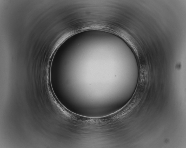 X0000098190906200804241242