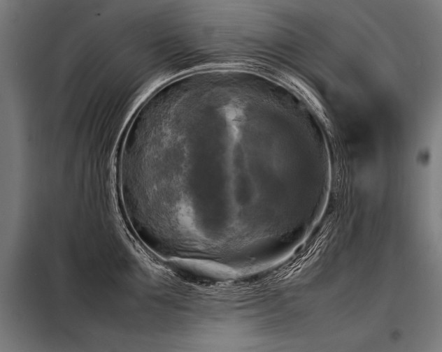 X0000098190907200804241242