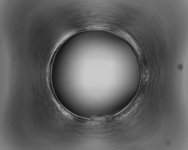 X0000098190909200804241241