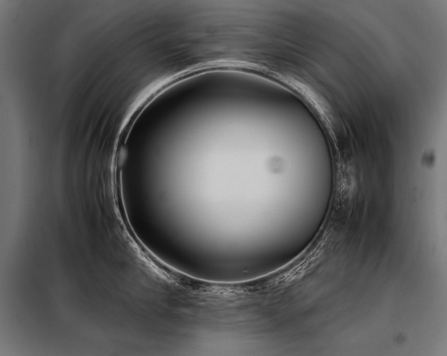 X0000098190910200804241241