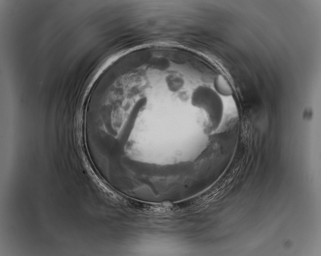 X0000098190911200804241241