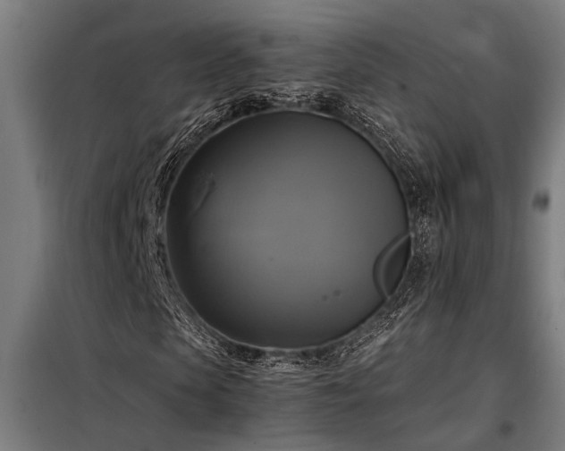 X0000098190913200804241241