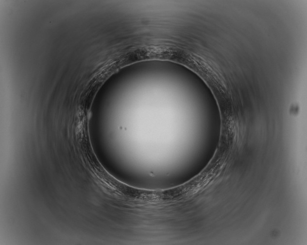 X0000098190914200804241241
