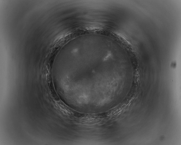 X0000098190917200804241241