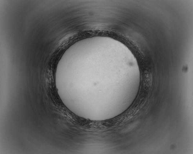 X0000098190918200804241241