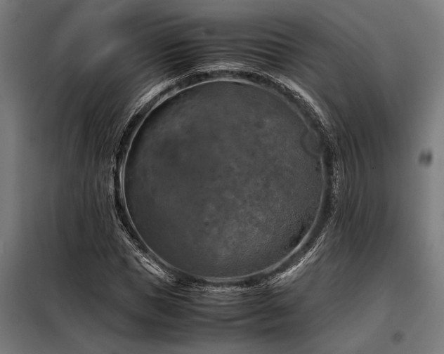 X0000098190921200804241241
