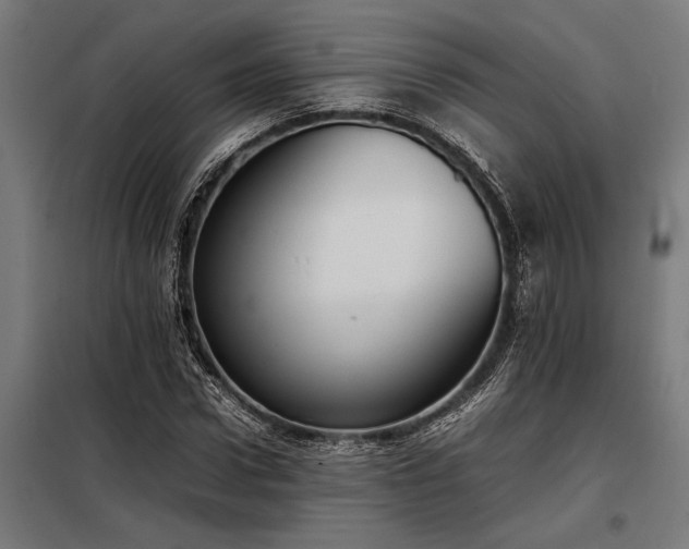 X0000098190922200804241241